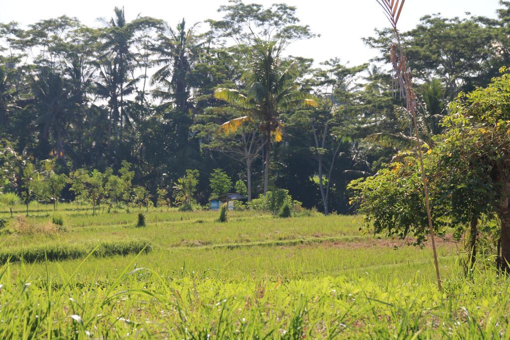 Pesantian Villa And Warung Ubud Eksteriør bilde